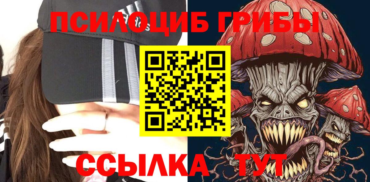 Галлюциногенные грибы Psilocybe  Галлюциногенные грибы Psilocybine cubensis  Торжок  Вход с VPN 
